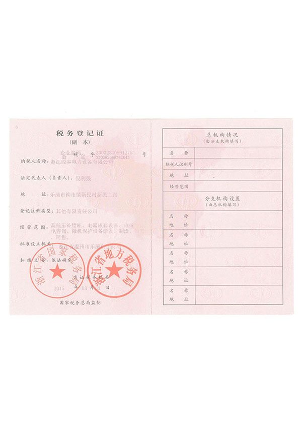 能容電力稅務(wù)登記證